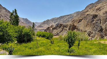 Ladakh with Aryan valley